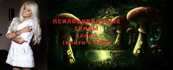 хмурый Белокуриха
