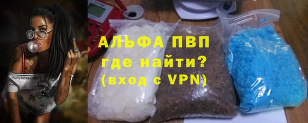хмурый Белокуриха