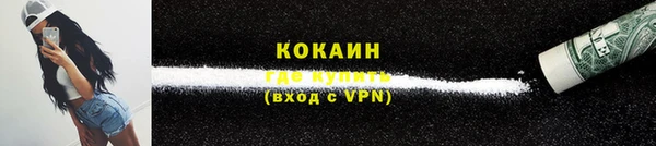 хмурый Белокуриха