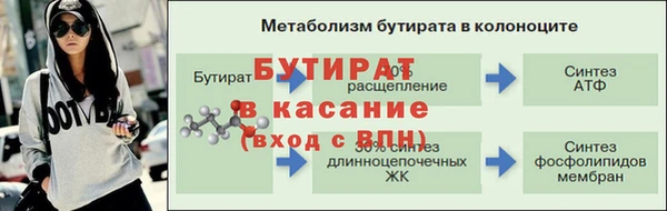хмурый Белокуриха