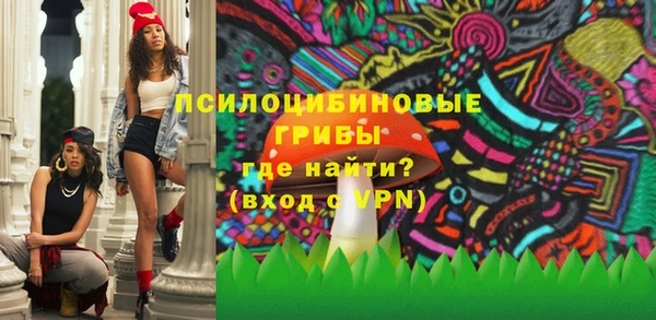 хмурый Белокуриха
