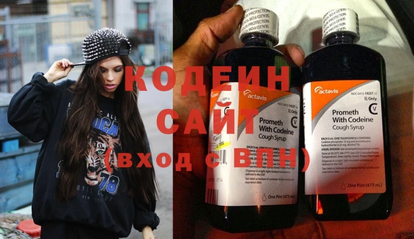 хмурый Белокуриха