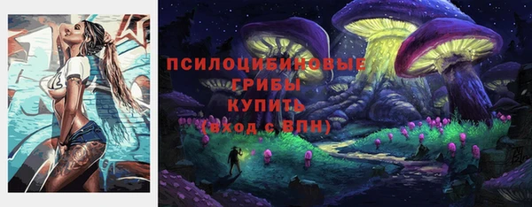 хмурый Белокуриха