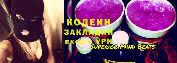 хмурый Белокуриха